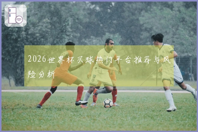 2026世界杯买球热门平台推荐与风险分析