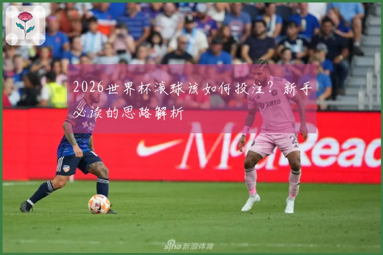 2026世界杯滚球该如何投注？新手必读的思路解析
