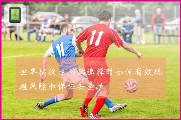 世界杯投注网站选择时如何有效规避风险和保证安全性