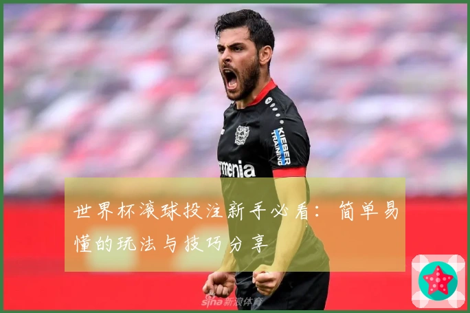 世界杯滚球投注新手必看：简单易懂的玩法与技巧分享