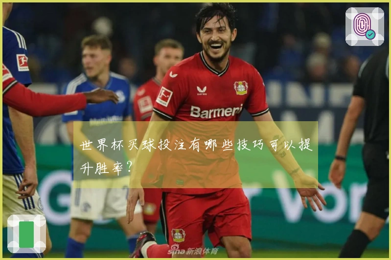 世界杯买球投注有哪些技巧可以提升胜率？