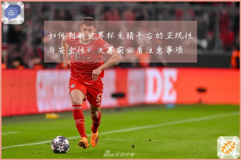 如何判断世界杯竞猜平台的正规性与安全性，决赛前必看注意事项