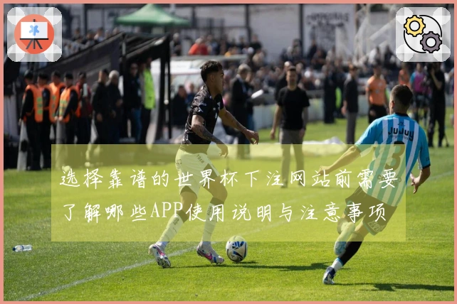 选择靠谱的世界杯下注网站前需要了解哪些APP使用说明与注意事项