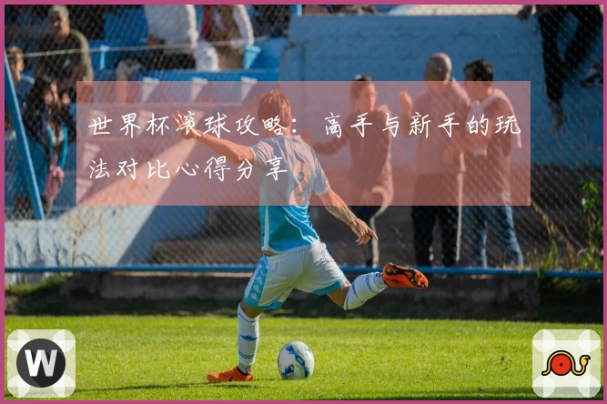世界杯滚球攻略：高手与新手的玩法对比心得分享
