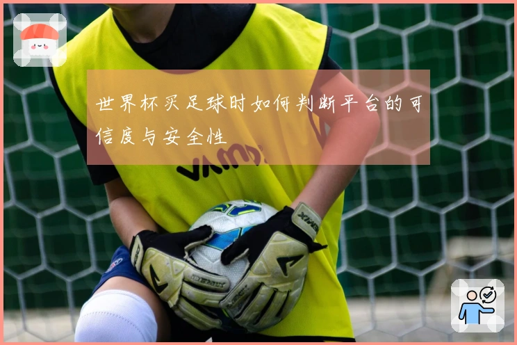 世界杯买足球时如何判断平台的可信度与安全性