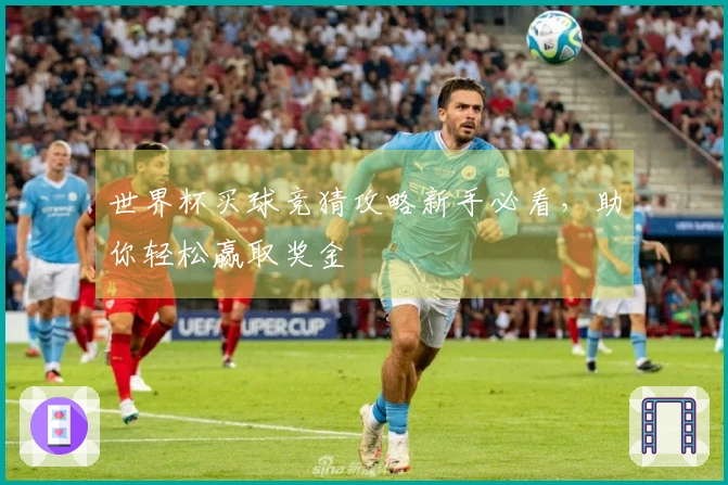 世界杯买球竞猜攻略新手必看，助你轻松赢取奖金