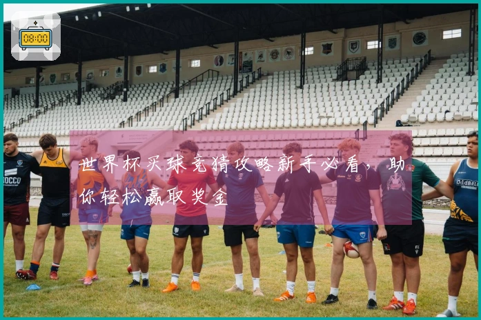 世界杯买球竞猜攻略新手必看,助你轻松赢取奖金