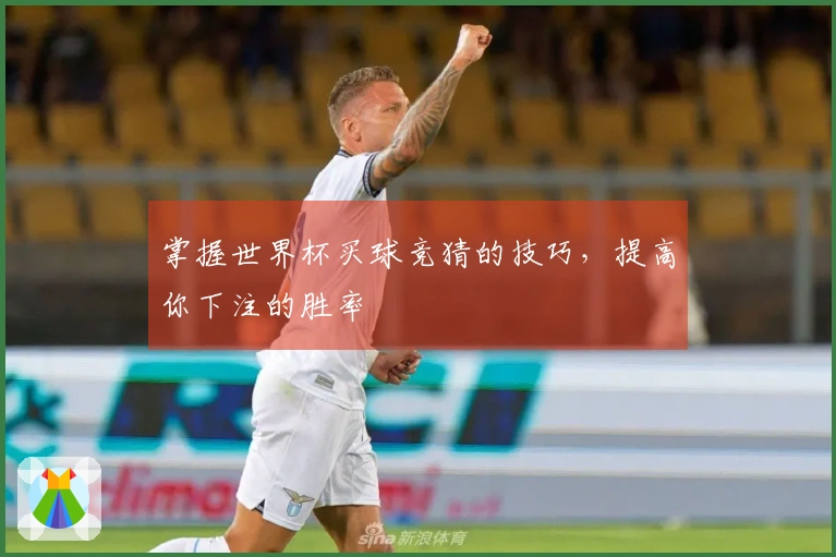 掌握世界杯买球竞猜的技巧，提高你下注的胜率