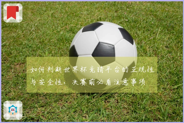 如何判断世界杯竞猜平台的正规性与安全性，决赛前必看注意事项