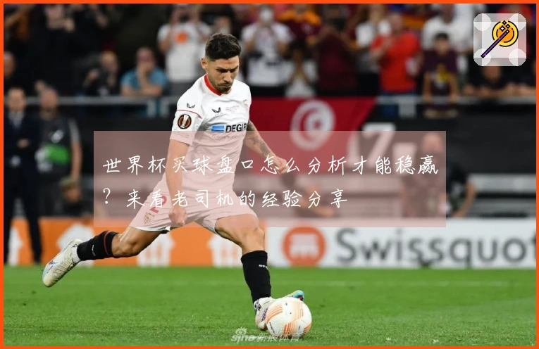 世界杯买球盘口怎么分析才能稳赢?来看老司机的经验分享
