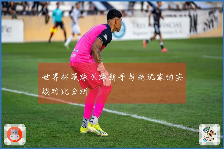 世界杯滚球买球新手与老玩家的实战对比分析