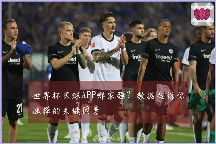 世界杯买球APP哪家强？数据告诉你选择的关键因素