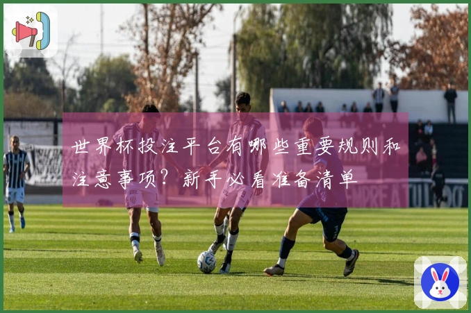 世界杯投注平台有哪些重要规则和注意事项？新手必看准备清单