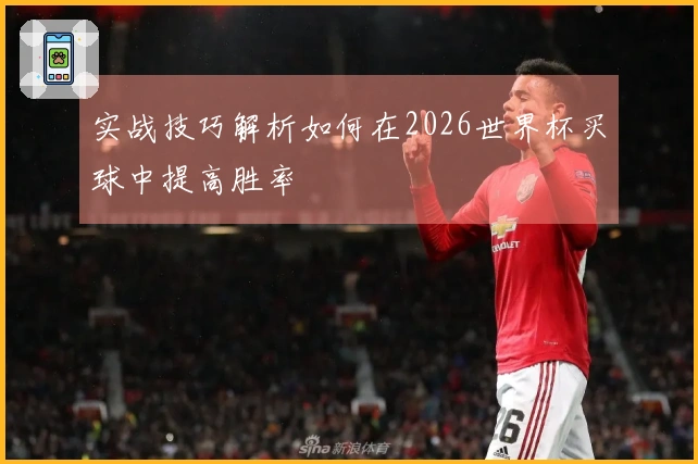 实战技巧解析如何在2026世界杯买球中提高胜率