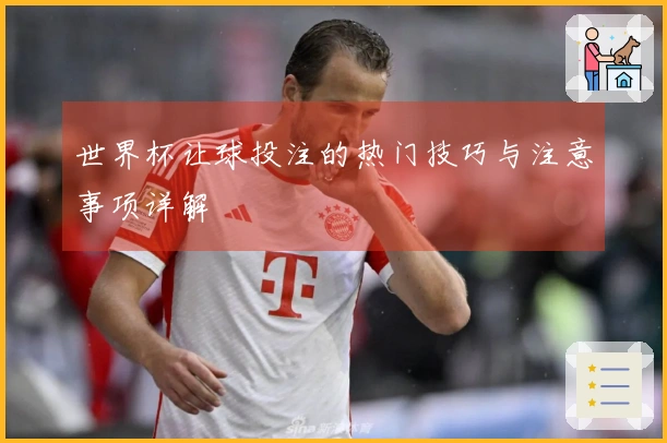 世界杯让球投注的热门技巧与注意事项详解