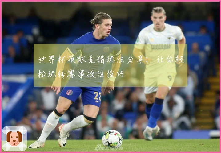 世界杯滚球竞猜玩法分享：让你轻松玩转赛事投注技巧