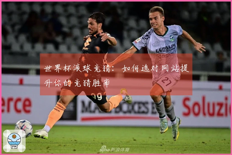 世界杯滚球竞猜:如何选对网站提升你的竞猜胜率