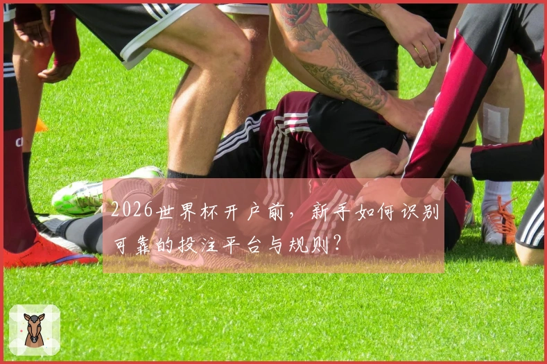2026世界杯开户前，新手如何识别可靠的投注平台与规则？