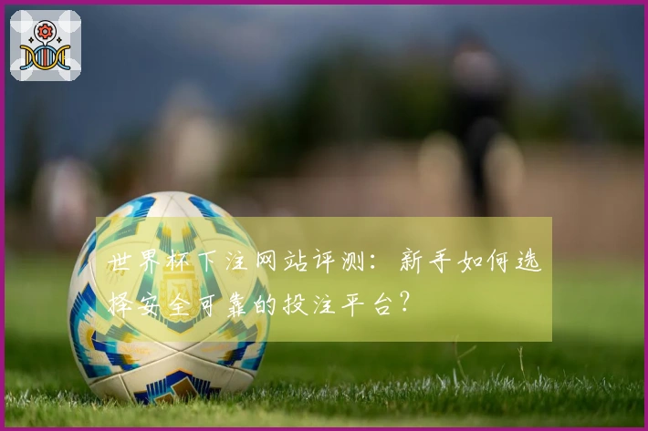 世界杯下注网站评测：新手如何选择安全可靠的投注平台？