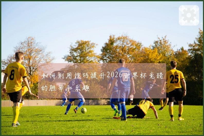 如何利用技巧提升2026世界杯竞猜的胜率和乐趣