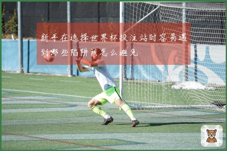 新手在选择世界杯投注站时容易遇到哪些陷阱该怎么避免
