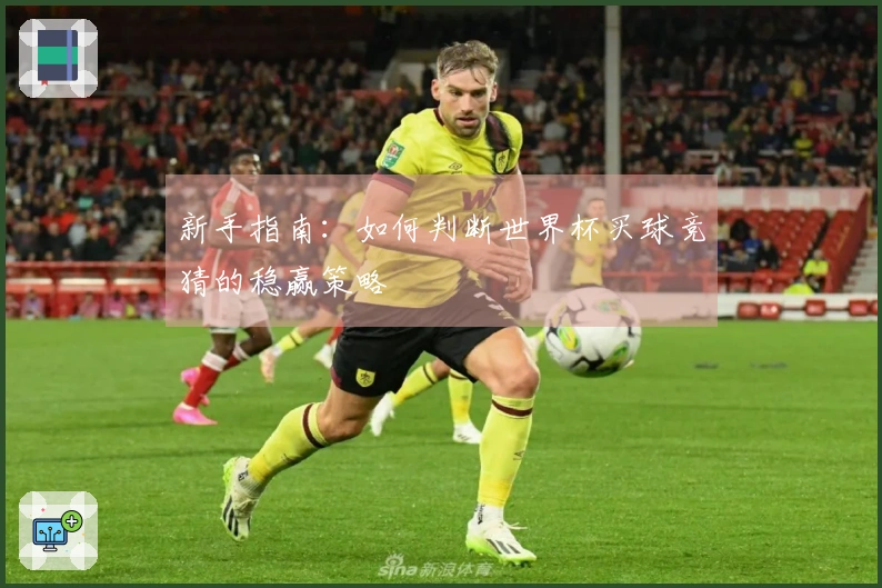 新手指南：如何判断世界杯买球竞猜的稳赢策略